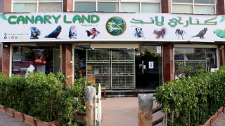 exotic animal store dubai Canary land Pet Shop