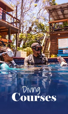 diving lessons dubai Nemo Diving Center