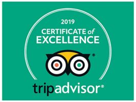 Millennium Airport Hotel Dubai TripAdvisor Certificate of Excellence 2019