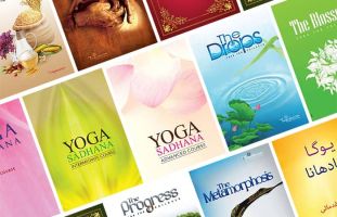 yoga schools dubai Hatha Vidya Yoga Centre