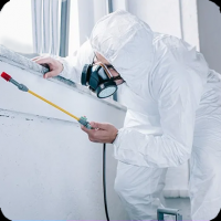 fumigation companies dubai Benchmark Pest Control &Cleaning Services LLC | Pest Control Services In Dubai & Sharjah