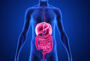 intestinal malabsorption specialists dubai Holistic Healing