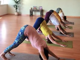 yoga lessons dubai Ananda Yoga Center