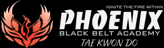 hapkido lessons dubai Phoenix Black Belt Academy