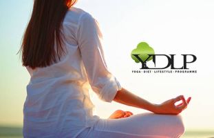 yoga classes for pregnant women dubai Hatha Vidya Yoga Centre